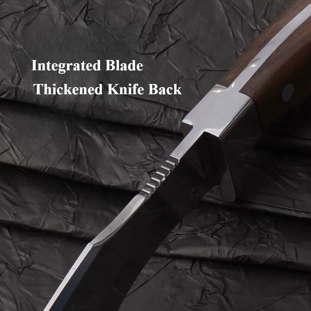 2026 New Model High-Strength S - High Tech Kitchen Accessories 评论和价格